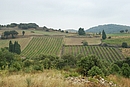 Paysage viticole soigné sur les coteaux de l'Agly ; ici vers Caramany