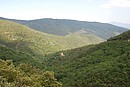 Vastes étendues de chênes verts et chênes pubescents couvrant les versants du massif des Aspres