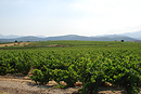La silhouette des Aspres vue depuis le piémont viticole ; ici vers Fourques.
