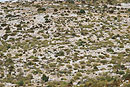 Garrigue  romarins, buis et genvriers sur le plateau de Prillos (Corbires).