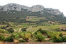 Paysage de pente dans le Fenouilldes : imbrication de parcelles de vigne, de garrigue et de falaises rocheuses, ici vers Saint-Paul-de-Fenouillet.