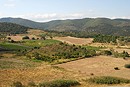 Friches et parcelles cultivs sur le plateau de Roupidre.