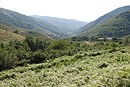 La vallée de la Castellane dans le massif du Madres.