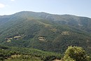Pentes boises et sommets dgags dans le massif des Aspres ; ici vers le col de Xatard.