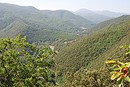 Les versants boiss du Vallespir.