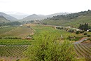 Coteaux viticoles dans la valle de l'Agly ; ici vers Rasigures.