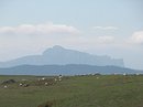 Pâtures dans les Hautes-Corbières avec le Pech Bugarach à l'horizon