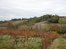 Vignes, champs labourés et bosquets de feuillus vers Arzens (massif de la Malepère)