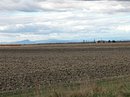 Les paysages agricoles simplifiés des anciens marais de la Souteyranne et de la Fosse, sans obstacle sur des dizaines d'hectares