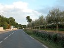 Exemple rare, remarquable et simple de limite d'urbanisation à Lansargues : urbanisation à gauche de la route ; muret de pierres et ligne d'oliviers à droite en accompagnement de la route ; vigne au-delà.