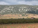 Le coteau qui cadre la plaine viticole de l’Hérault vers Saint-Jean-de-Fos : horizon de qualité.