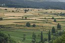 Talus enherbés animant le paysage agricole ; ici vers Saint-Pierre-dels-Forcats (Cerdagne)