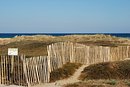 Installation de ganivelles afin de protéger les dunes du lido de l'étang de Canet