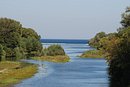 L'embouchure du Tech : un espace de respiration verdoyant, protégé par la réserve naturelle du Mas Larieu