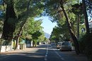 Rue abondamment plantée à Argelès-sur-Mer